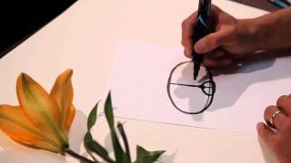 How to draw plants Foreshortening2 47 [upl. by Gitlow]