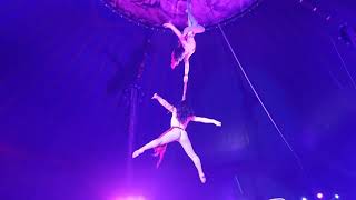 Circ Historic Raluy Barcelona  Circus Live Circus Experience  honeyschannel6607 [upl. by Chud]