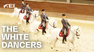 Lipica Stud Home of the famous white Lipizzaner  RIDE presented by Longines [upl. by Darryl]