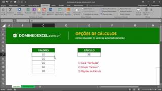 Conheça as opções de cálculo no Excel  Domine o Excel [upl. by Vinni773]