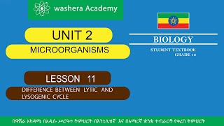 BIOLOGY GRADE 12 UNIT 2 LESSON 11 DIFFERENCE BETWEEN LYTIC AND LYSOGENIC CYCLE [upl. by Onaicilef978]