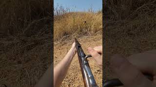 Berthier M16 carbine firing in first person [upl. by Cohe]