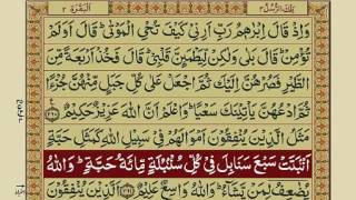 Quran Para 3 with Urdu Translation  Recitation  Mishary Rashid Alafasy [upl. by Hilten]