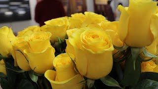 20232024 Westerville North High School Yellow Rose Ceremony [upl. by Ahsyas]