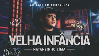 Natanzinho Lima  Velha Infância  No Doze [upl. by Betteanne577]