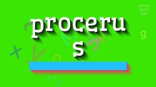 HOW TO SAY PROCERUS procerus [upl. by Kennie]