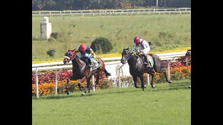 MISS AMERICAN PIE wins The Noshir amp Dolly Dhunjibhoy Sprint Million Gr3 [upl. by Yecam291]