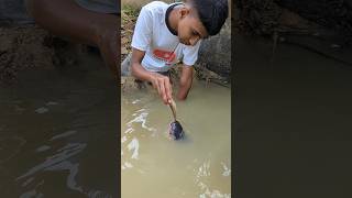 Attractive Unique Hand Fishing Challenge Video😲fishinghandfishingshorts [upl. by Alaecim528]