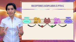 Farmacologia 02  Aspectos moleculares dos fármacos Parte 1 [upl. by Akinna]