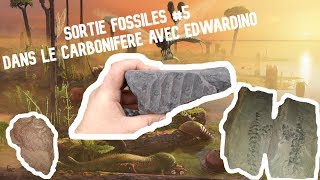 Sortie fossile 5  Le Carbonifère des Terrils du Nord avec Edwardino [upl. by Aurelie]