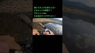 野池はラチェット144がマッチザベイト！ fishingdaily fishing 魚釣り Bassfishing バス釣り 野池 GANCRAFT ラチェット144 マッチザベイト [upl. by Nytsud]