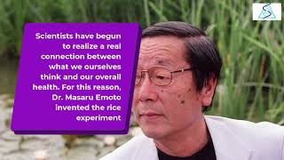 Dr Masaru Emoto’s Rice Experiment [upl. by Treboh]