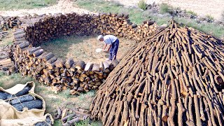 El CARBONERO Transformación de 10000 kg de leña en CARBÓN VEGETAL en la naturaleza  Documental [upl. by Halley338]