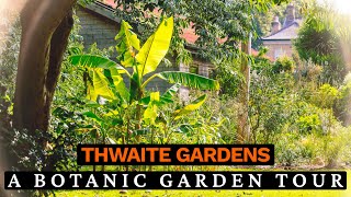 Thwaite Gardens September Tour with Steve Howe  Exotic Plants amp Tropical Displays [upl. by Eetak907]