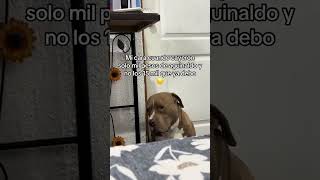 Chale que triste jaja viralshort viralvideo aguinaldo [upl. by Dane]