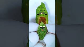 Momordica charantia has a Baby Need Emergency Surgery jidoodle fruitsurgery foodsurgery [upl. by Aleekat]