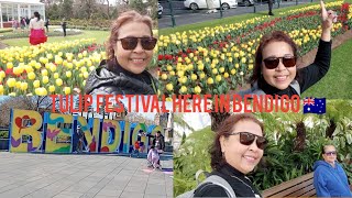 EXPLORE TULIP FESTIVAL  BENDIGO ANNUAL TULIP DISPLAY BEAUTIFUL 🇭🇲🥰 [upl. by Issak]