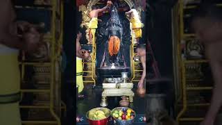 Sri Panchamukha Hanuman Abhishekam [upl. by Ruthi]