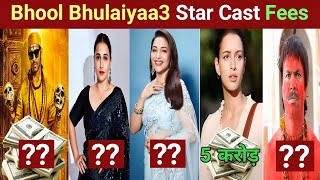 Bhool Bhulaiyaa 3 Star Cast Salary  Bhool Bhulaiyaa 3 Cast Fees amp Name  Bhool Bhulaiyaa 3 Budget [upl. by Reider]