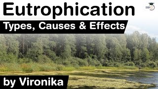 What is Eutrophication Types Causes and Effects of Eutrophication explained UPSC IAS [upl. by Karen]