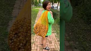 He Couldnt Believe These Were Good Hazelnuts 🌰🌰  Amazing Fresh Dryfruit shorts youtubeshorts [upl. by Martinic]