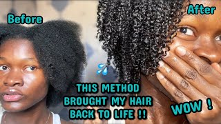 THIS METHOD BROUGHT MY HAIR BACK TO LIFE  I tried the MAXIMUM HYDRATION METHOD and I’m speechless [upl. by Aisauqal897]