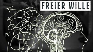 Freier Wille amp Determinismus – Warum ich das Problem nicht verstehe [upl. by Atirb445]