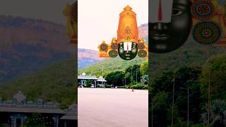 tirupati tirumala 🙏 [upl. by Lester]