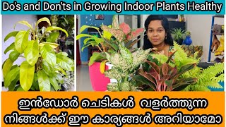 15 Tips to Grow Indoor Plants Healthy  Fertilizer  ഇൻഡോർ ചെടി ഭംഗിയോടെ വളർത്താൻ 15 ടിപ്സ് [upl. by Sherar]