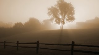 Aquascape  Sunrise in Fog Visualization [upl. by Arihsak393]