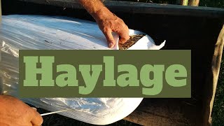 Wet Small Square Bales Try wrapping them for haylage [upl. by Boyce391]