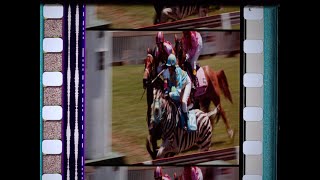 Racing Stripes Trailer 2005  35mm  Scope  Stereo  UHD [upl. by Aivull]