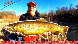 Milwaukee River Winter Brown Trout amp Steelhead Fishing [upl. by Tolland688]