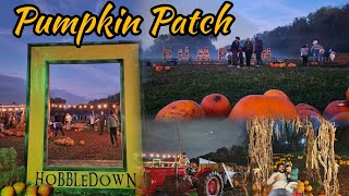 Pumpkin Patch 🎃 at Hobbledown Heath Hounslow London Halloween Kids [upl. by Huxham]