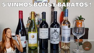 5 vinhos BONS E BARATOS R30 a R50 e dicas de harmonização  atualizado 2023 [upl. by Odette]