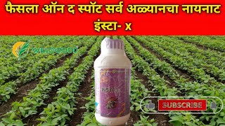 insta  x insecticide Willowood chemical  फैसला ऑन द स्पॉट सर्व अळ्यानचा नायनाट [upl. by Tinor]