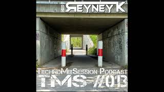 TMS 013 mixed by Reyney K [upl. by Aicul33]