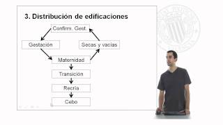 Distribución de alojamientos en una granja porcina   UPV [upl. by Odey]