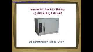 Immunohistochemistry staining steps [upl. by Ponton]