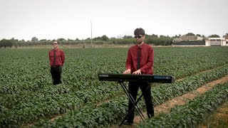 TTape Band  Lets Grow Peppers [upl. by Napier]