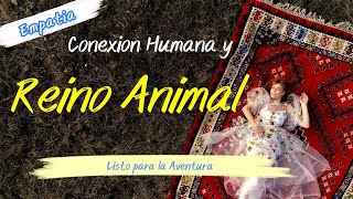 Los secretos de la conexión entre humanos y animales [upl. by Pember]