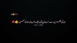 Urdu lyric poetry❤️✨  Urdu poetry Collection  black screen urdu Quotes [upl. by Hedda498]