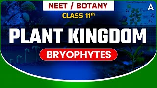 𝐏𝐋𝐀𝐍𝐓 𝐊𝐈𝐍𝐆𝐃𝐎𝐌 𝐂𝐋𝐀𝐒𝐒 𝟏𝟏  BOTANY BRYOPHYTES  NEET SANJEEVANI BATCH  BOTANY BY SANKALP BHARAT [upl. by Nyleahs]