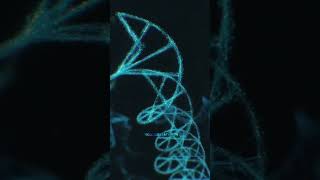 Structure of chromosome ramesh99 [upl. by Mendez240]