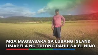 Mga magsasaka sa Lubang Island umapela ng tulong dahil sa El Niño [upl. by Siurtemed]