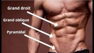 EXERCICE ABDOMINAUX amp OBLIQUES [upl. by Gault]