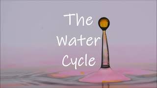 The Water Cycle in 7 Minutes [upl. by Berk]