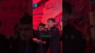 Ya Rab Koi Masooma Zinda mein na tanha ho  Sibtain Haider Nohay  Hassan Sadiq Nohay arbaeen2024 [upl. by Eyllom]