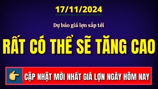 Giá heo hơi hôm nay ngày 17112024  Dự báo giá lợn sắp tới rất có thể sẽ tăng cao [upl. by Gnay944]