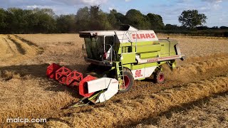 4Kᵁᴴᴰ Harvest 2023 Claas Dominator 98 SL combine cutting barley in East Green Suffolk [upl. by Naicul]